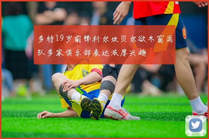 多特19岁前锋科尔坎贝尔欲冬窗离队多家俱乐部表达浓厚兴趣