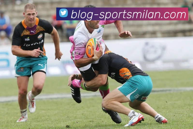 米兰体育品牌故事